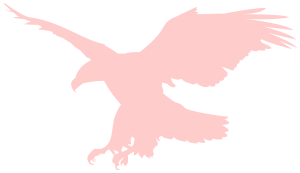 filter濾鏡